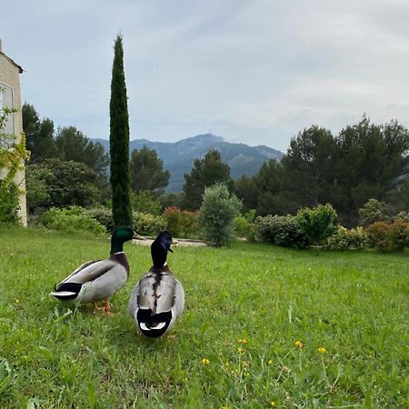 La Maison Perchee Auriol Екстериор снимка